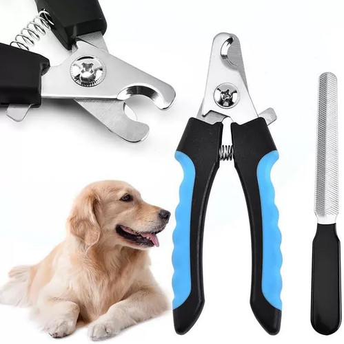 Forbici professionali per cani - forbici,