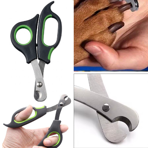 Forbice taglia unghie per cani - forbice,